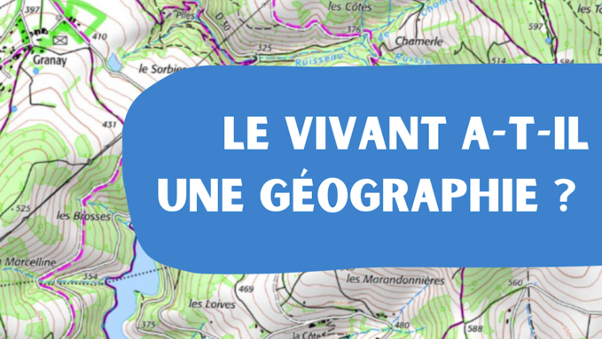 2026 - Miniconf2 copie.png