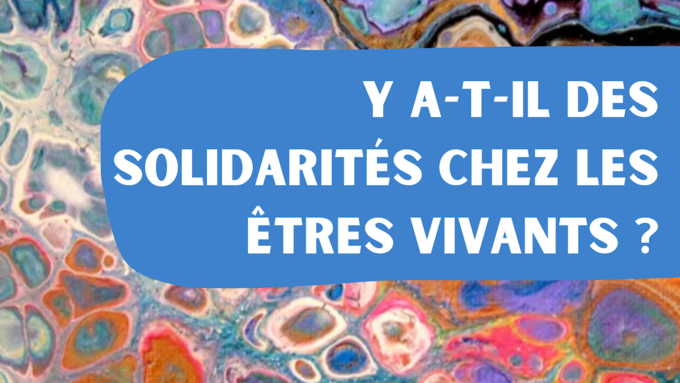 Les Mini-Conférences du lycée Docteur Charles Mérieux proposent-6 copie 2.png