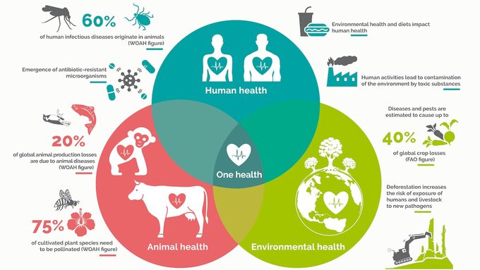 Illustration One Health DV2024_UK (002).jpg